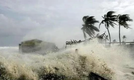 Sáng nay bão Côn Sơn đổ bộ đất liền, mưa lớn từ Thanh Hóa đến Quảng Ngãi