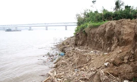 Sông Hồng bị sạt lở do mực nước thấp 