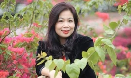 Kiểm soát giá vàng 