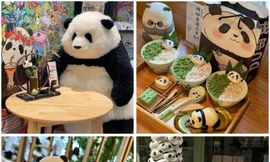 Gấu trúc ‘xâm chiếm’ Thành Đô - Trung Quốc 