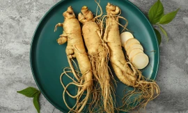 Nhân sâm đại bổ nhưng những người này phải tuyệt đối tránh xa kẻo ngộ độc tử vong