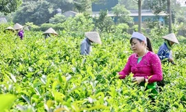Hà Nội chi 1.100 tỷ đầu tư cơ sở hạ tầng cho vùng đồng bào dân tộc miền núi