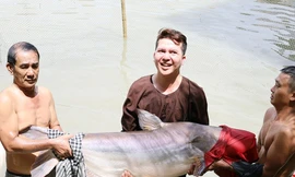 Đàn 'thủy quái' báu vật, mỗi con nặng hơn 100kg chưa từng thấy ở Việt Nam