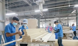 Mỹ công bố thuế 46%, ngành hàng tỷ USD của Việt Nam 'bẻ lái' thế nào?