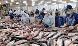 Mỹ áp thuế 46%, nông sản Việt xoay xở thế nào? 