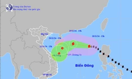 Các địa phương từ Quảng Ninh đến Bình Thuận theo dõi chặt chẽ các biến thể của bão Manyi