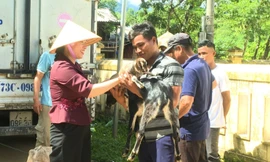 Quảng Bình trao dê giống hỗ trợ sinh kế cho đồng bào dân tộc thiểu số