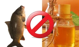 Những thực phẩm đại kỵ với mật ong, tránh ăn chung kẻo ngộ độc chết người