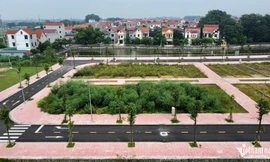 Nóng bỏng tay nghề 'đấu giá bán chênh', độc chiêu thổi giá đất