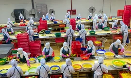 Khánh thành dây chuyền bao bì giấy đầu tiên tại Việt Nam