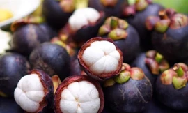 Những đại kỵ khi ăn măng cụt, biết để tránh kẻo nhiễm độc đe dọa tính mạng