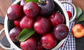 Mận vào mùa ngon khó cưỡng, nhưng những người này nên 'tránh thật xa'