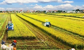 Đề xuất miễn thuế sử dụng đất nông nghiệp thêm 5 năm