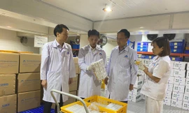 Indonesia nhập khẩu vắc xin dịch tả lợn châu Phi của Việt Nam 