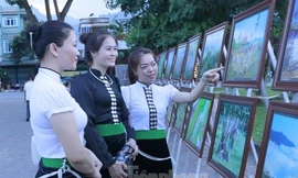 Thúc đẩy bình đẳng giới trong nông nghiệp và phát triển nông thôn