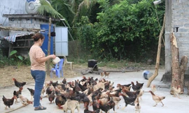 Hòa Bình chi 960 tỷ đồng thực hiện Chương trình Giảm nghèo bền vững giai đoạn 2022-2025