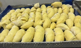 Sau 2 ngày thương thảo, sầu riêng đông lạnh Việt Nam thẳng tiến Trung Quốc