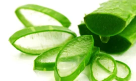 Dùng nha đam kiểu này không khác nào đưa 'thuốc độc' vào người