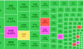 Tiền vào dữ dội, thanh khoản kỷ lục 3 tháng, cổ phiếu ào ào tăng