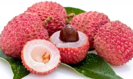 Tránh những điều ‘đại kỵ’ này khi ăn vải để không bị nóng hay ngộ độc