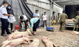 ‘Tuýt còi’ tất cả cơ sở giết mổ động vật vi phạm 