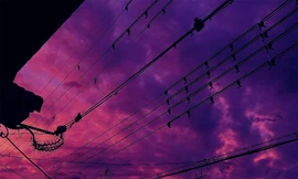 Những biểu hiện ‘đáng sợ’ đầu tiên của siêu bão Hagibis