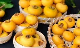 Quả thị chỉ nên ngửi chứ không nên ăn vì lý do đáng sợ này