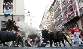 Ảnh minh họa tại lễ hội bò tót ở San Fermin 