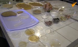 Các nhà khoa học Nga đã tạo ra bát đĩa ăn được