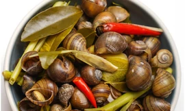 Những 'đại kỵ' khi ăn ốc, biết mà tránh kẻo rước thêm bệnh vào thân