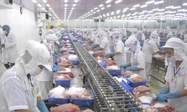 Việt Nam vừa thu 28 tỷ USD nông sản, khách nào 'sộp' nhất?