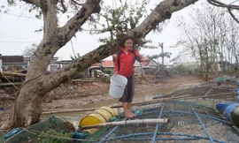 Nhiều mô hình sinh kế được hình thành từ nguồn tín dụng đối với người nghèo và các đối tượng chính sách khác trên địa bàn tỉnh Thừa Thiên Huế. Ảnh: Thảo Vi