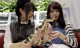 Trào lưu uống cà phê cùng động vật thịnh hành với giới trẻ châu Á