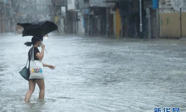 Bão Higos giật cấp 12 càn quét miền nam Trung Quốc