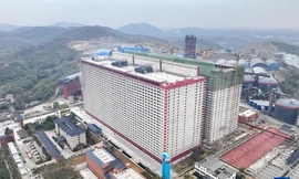 Đề xuất xây 'chung cư' cho... lợn 