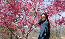 Những điểm du lịch hot nhất dịp Tết năm nay