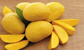 Ăn xoài mang lại nhiều lợi ích tuyệt vời nhưng nên tránh những đại kỵ này khi ăn