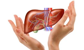 Bạn nên tầm soát ung thư gan ngay khi thấy những dấu hiệu bất thường này