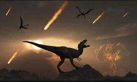 Thảm họa thiên thạch từng hủy diệt loài khủng long, nhưng lại không thể tiêu diệt được loài gián. Ảnh: Getty Images