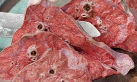 Những bộ phận cực độc hại của con bò, giá rẻ như cho cũng không nên mua để ăn