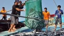 THẾ GIỚI 24H: Trung Quốc ngang ngược áp đặt lệnh cấm đánh bắt cá ở Biển Đông