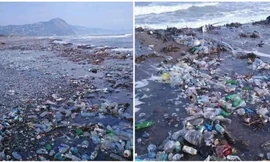 Rác trôi dạt vào một bãi biển ở Melbou, Algeria. Ảnh minh họa: observers.france24.com