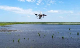 Nông dân Nga dùng máy bay không người lái để trồng lúa