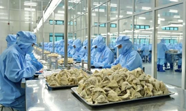 Lý do người Trung Quốc chưa biết nhiều về tổ yến Việt Nam