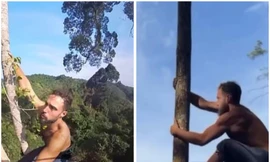 Gặp gỡ ‘tặc răng’ ngoài đời thực, leo trèo trong rừng rậm như khỉ