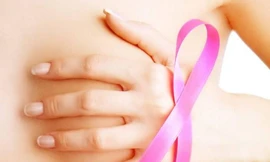 Ảnh minh hoạ: Internet