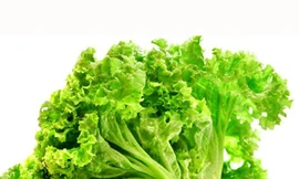 Những người nên tránh xa rau xà lách kẻo ‘rước thêm bệnh vào người’