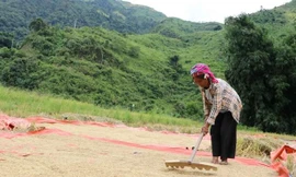 Hỗ trợ bà con dân tộc thiểu số xã biên giới thoát nghèo bền vững