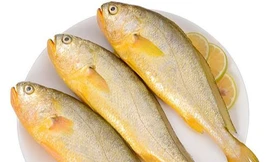 Đi chợ thấy những loại cá này nên mua ngay bởi cá ngọt thịt, ít xương lại giàu dinh dưỡng