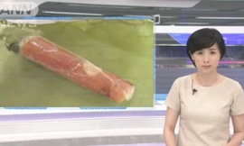 Bản tin của Đài truyền hình Nhật Bản đưa tin về sự việc nữ du học sinh Việt mang nem chua và trứng vịt lộn nhập cảnh và bị bắt.